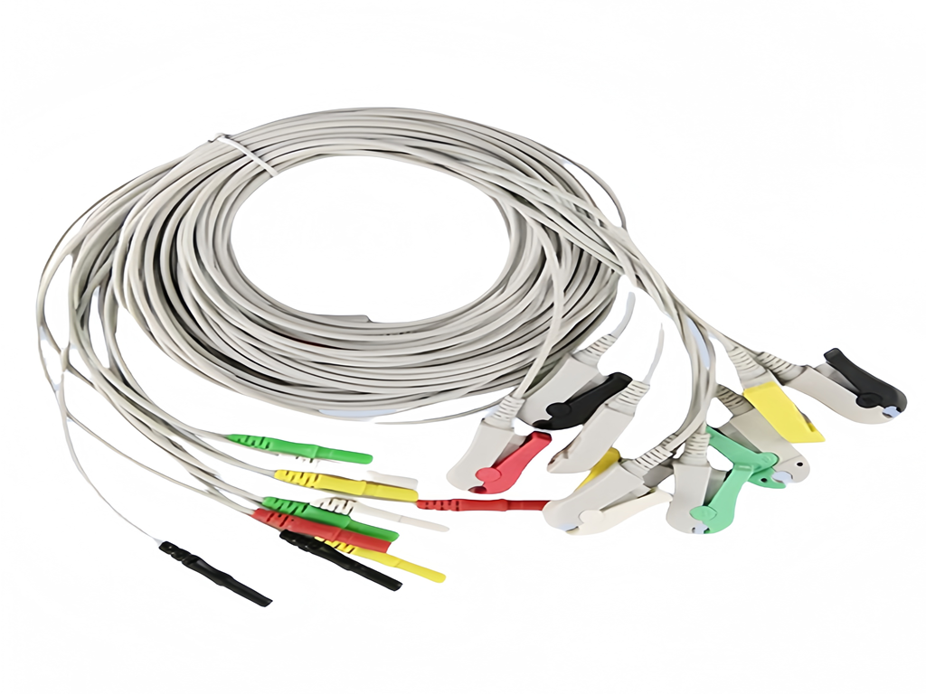 绿巨人视频下载心電導聯線