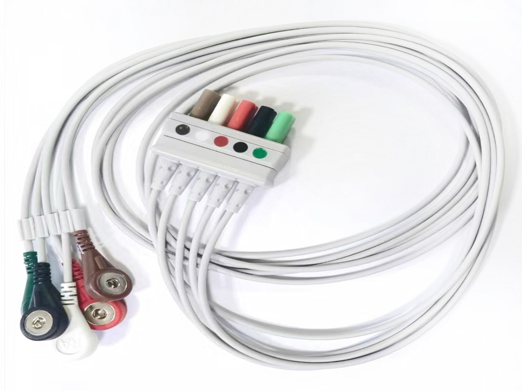 绿巨人视频下载心電導聯線